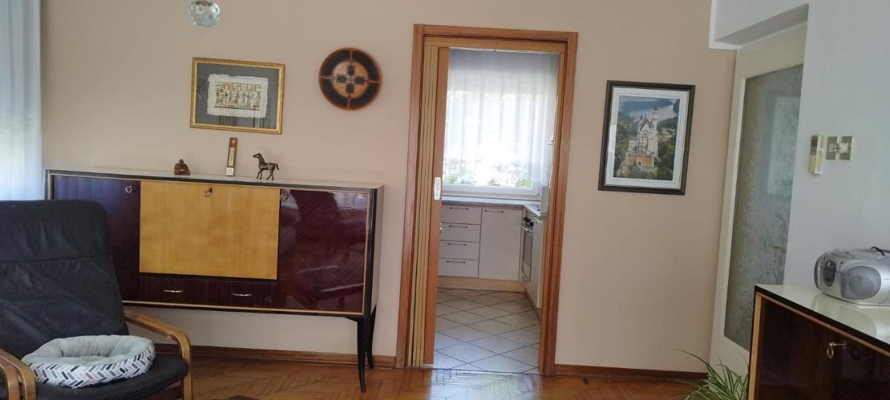 7 Flower Street Apartment Sempeter pri Gorici Buitenkant foto