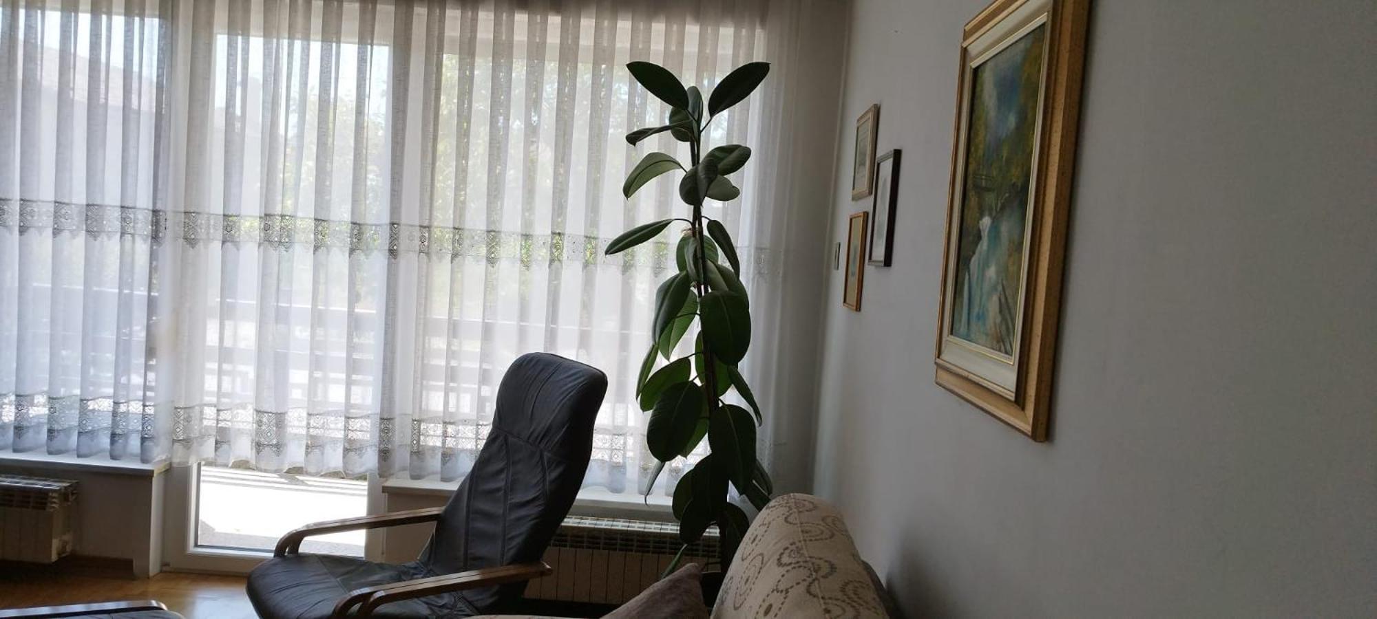 7 Flower Street Apartment Sempeter pri Gorici Buitenkant foto