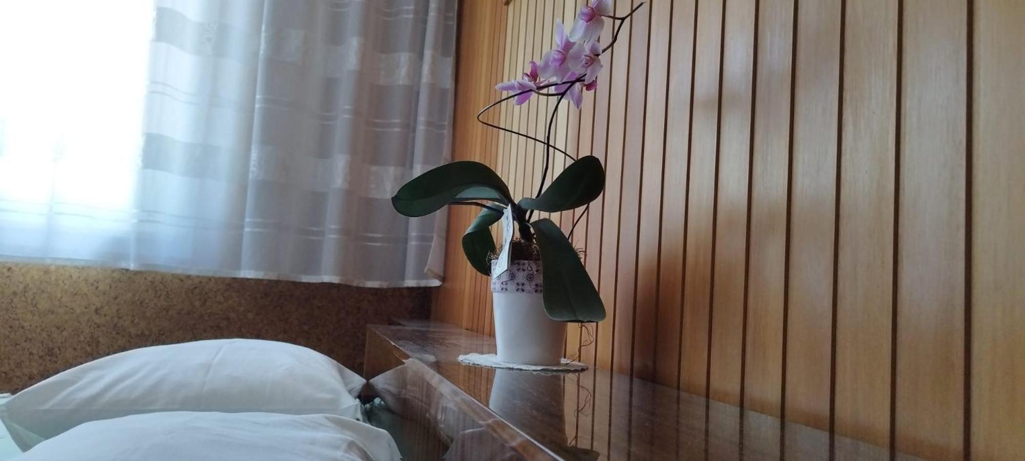 7 Flower Street Apartment Sempeter pri Gorici Buitenkant foto